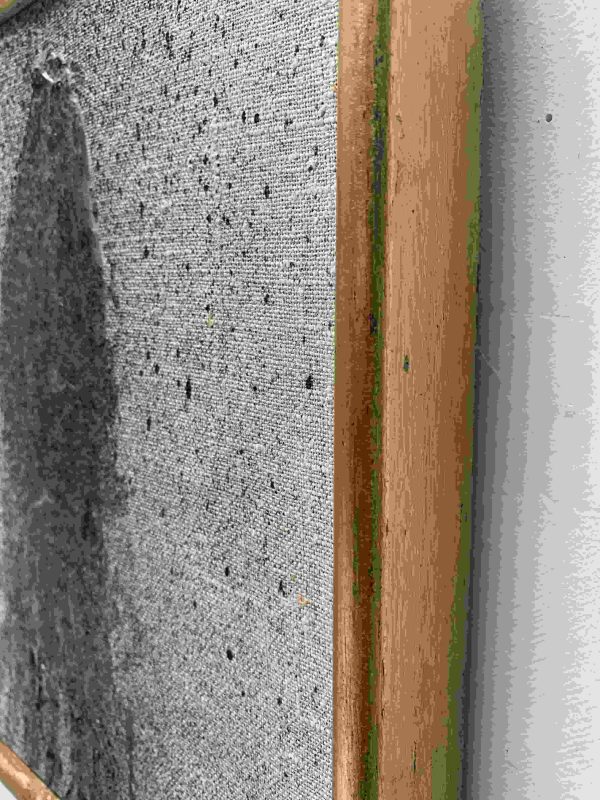 Sepia's - Image 2